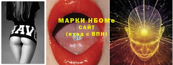 СК Алексин