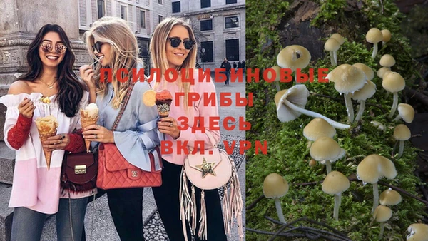 ПСИЛОЦИБИНОВЫЕ ГРИБЫ Алзамай