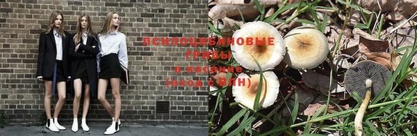 шишки Алексеевка