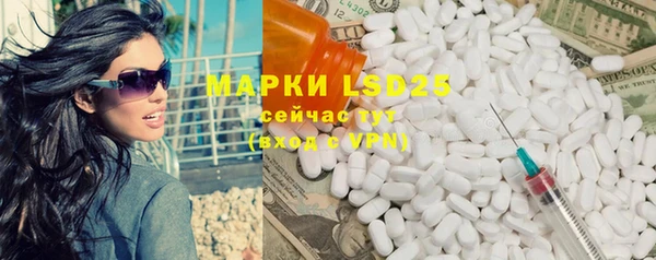 ПСИЛОЦИБИНОВЫЕ ГРИБЫ Алзамай